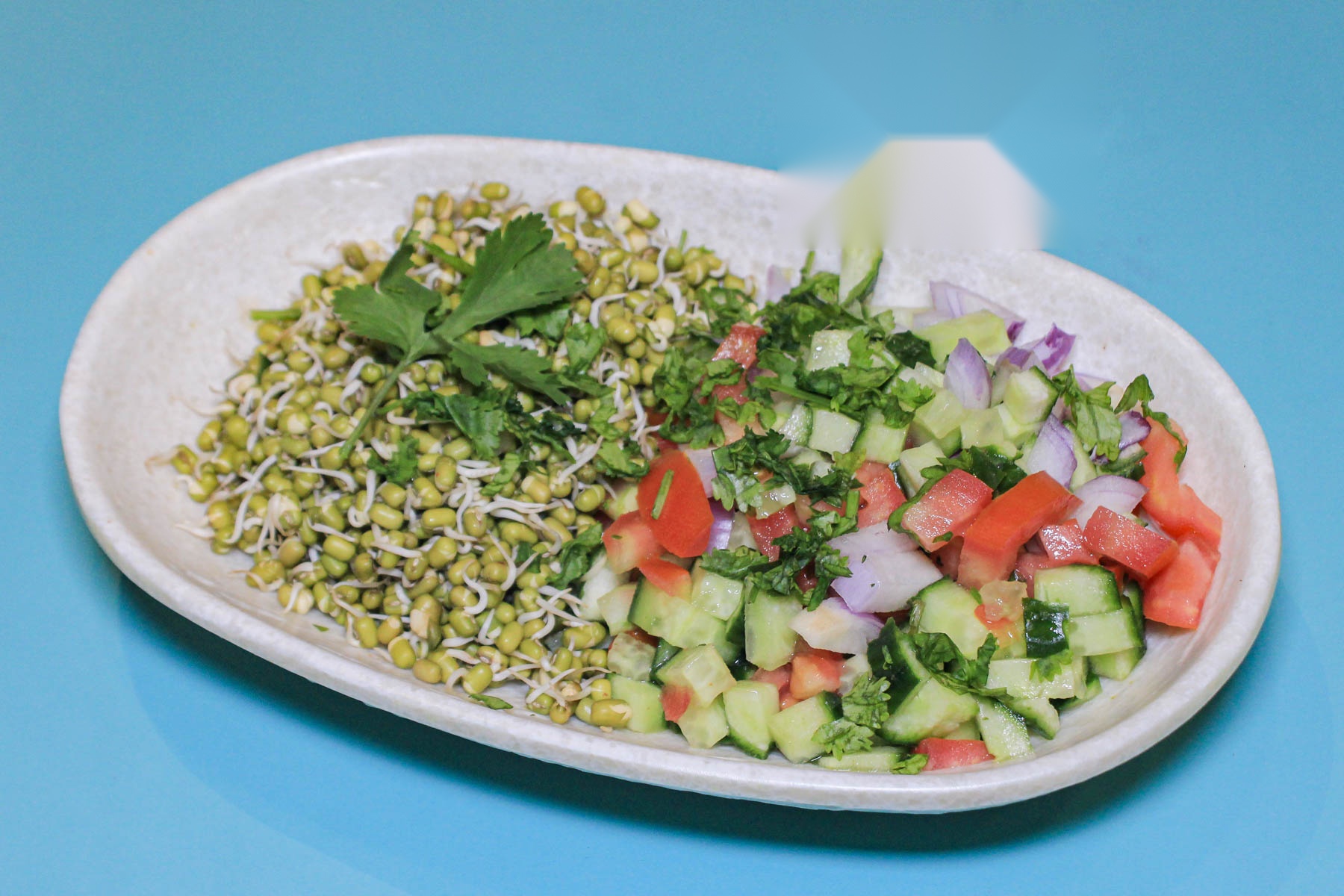 Sprouts Salad